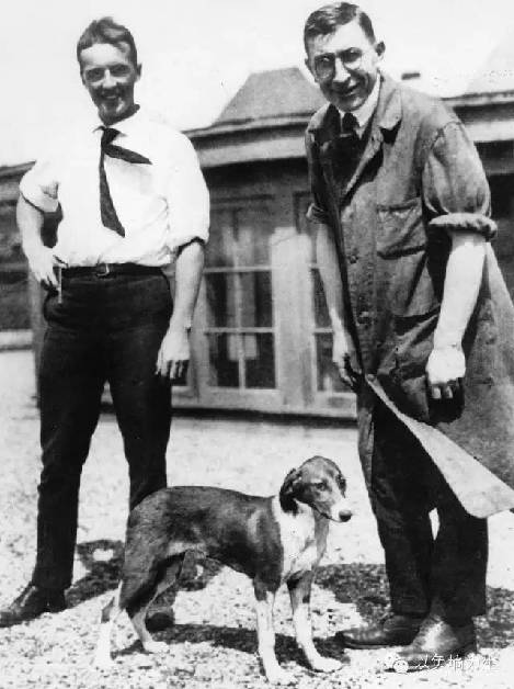 班廷（右）、贝斯特（左）和他们一只糖尿病小狗的合影