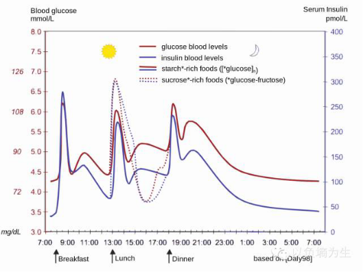 每日血糖和胰岛素水平变化的曲线