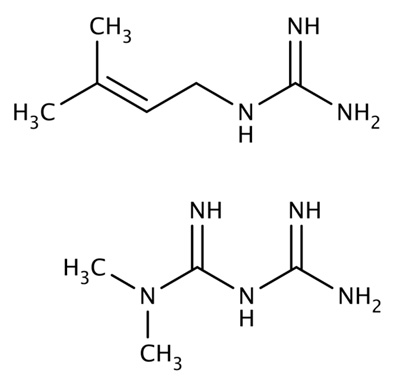 两种胍类小分子，山羊豆碱（上）和二甲双胍（下）