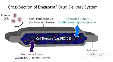 Encaptra的工作原理