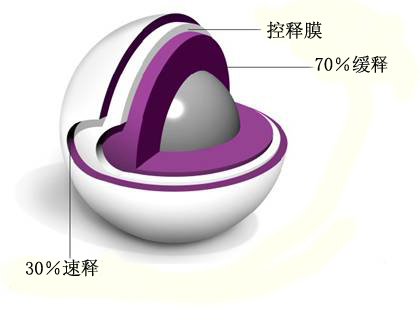 单硝酸异山梨酯缓释胶囊小丸模型